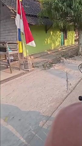The video shows a first-person perspective of someone riding a motorcycle down a paved road. The rider's hands are visible on the handlebars. On the left side of the road, there are houses with green and yellow walls, trees, and vegetation. Some of the houses appear to be made of wood and have thatched roofs. There are also some rocks and debris along the roadside. The road appears to be in a rural or semi-rural area, with houses spaced out along it. The sun is shining, casting shadows on the ground. In the distance, more houses and trees are visible, as well as a few people and other vehicles. The video is shot in daylight.
