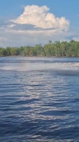 A wide shot of a body of water. The water is blue and choppy with white foam in the distance. There is a line of green trees in the background. The sky is blue with a few white clouds. A red jet ski is visible in the distance on the right side of the frame, spraying water as it moves.