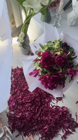 Person scatters magenta peony petals on floor in Vesyoloye