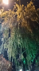 Evening walk through lit Nha Trang park and shops
