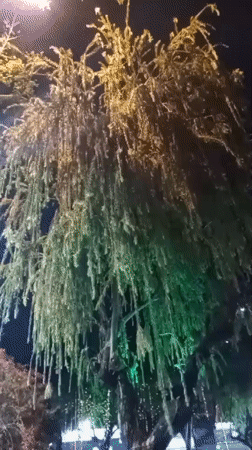 Evening walk through lit Nha Trang park and shops