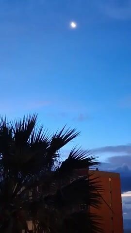 The video shows a palm tree, a building, and the moon in a blue sky. The palm tree is in the foreground and appears dark against the sky. The building is a brick structure with multiple floors, partially visible behind the palm tree. In the sky, there is a crescent moon. The sky is a gradient of blue with some light clouds near the horizon. The camera slowly zooms in on the moon.