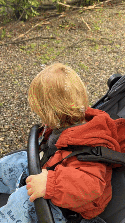 Child in stroller observed in Erba, Italy