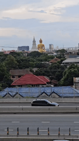 Golden Buddha, busy highways, and a cat food train in Bangkok