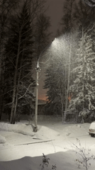 Nighttime snowfall documented in wooded area of Ust-Ilimsk, Russia