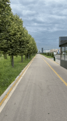 Morning park activities documented across urban green space