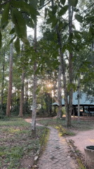 Peaceful park pathway captured in Ho Chi Minh City