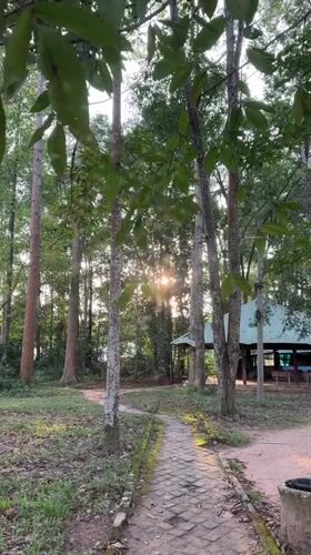 Peaceful park pathway captured in Ho Chi Minh City