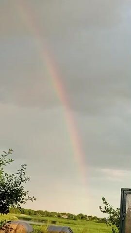 A rainbow arcs diagonally across a cloudy, gray sky. In the foreground, the tops of green trees and foliage are visible on the left and right sides of the frame. The lower portion of the video shows a blurred landscape with some houses and vegetation. The camera appears to be stationary.
