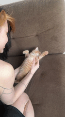 Person holds orange kitten on sofa in Khimki home