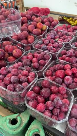 The video shows a display of fruit at a market or wholesale food outlet. The primary focus is on several clear plastic containers and red net bags filled with red plums and apricots. The plums appear to be a dark red/purple color, while the apricots are a bright orange hue. In the background, there are more fruits, including green apples and peaches. A white board has writing on it, including the number 17, possibly indicating a price. A person wearing jeans and a dark shirt walks in the background. The environment appears to be a warehouse or market setting.
