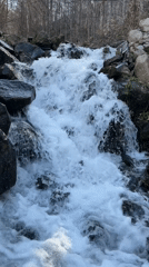Spring waterfall flows through bare forest near Barziya, Bulgaria