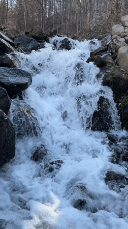 Spring waterfall flows through bare forest near Barziya, Bulgaria