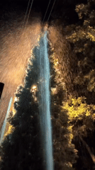 Water jets through an orange-lit evergreen tree in Makiivka