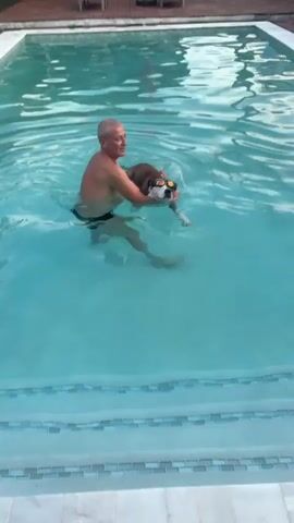 The media file depicts a man in a swimming pool, holding a small dog. The man is shirtless, wearing dark swim trunks, and appears to be a middle-aged Caucasian male with short, gray hair. He is holding the dog, which is wearing goggles, in his arms as he walks through the water. The dog has brown and white markings. The pool is a light blue color, and the surrounding area appears to be tiled, suggesting a well-maintained residential or hotel pool. The water is calm, with gentle ripples indicating movement. The lighting suggests it is daytime, possibly late afternoon or early evening, given the warm tones. The man's expression is neutral, and he seems to be focused on the dog. The overall scene conveys a sense of leisurely activity, with the man possibly helping the dog to swim or simply enjoying time together in the water. The location context of Hollywood, United States of America, suggests a warm climate suitable for swimming. There is no visible text in the media file.