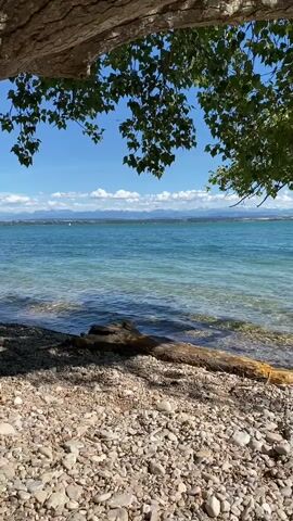 The video captures a tranquil scene at the edge of a body of water, likely a lake or ocean, on a clear day. The foreground is dominated by a textured tree trunk on the left and a beach covered in smooth, grey pebbles and a few larger stones. A weathered log rests on the shore, partially submerged in the shallow, clear water. The water itself is a vibrant turquoise, with gentle ripples lapping against the shore. In the distance, a hazy mountain range is visible against a bright blue sky dotted with fluffy white clouds. Lush green foliage from an overhanging tree frames the top of the shot, casting dappled shadows on the beach and water. The overall atmosphere is serene and natural. There are no people or animals visible in the frame, and no actions are taking place other than the natural movement of the water and leaves. The lighting suggests it is daytime, with the sun illuminating the scene.