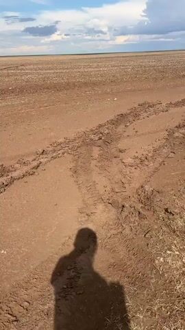 A white car is stuck in the mud off a dirt road. The car's tires are covered in mud, and the surrounding ground is muddy and uneven. There are other cars and people visible in the background. The sky is cloudy.