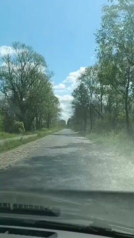 This video shows a first-person perspective from inside a vehicle driving down a paved road lined with trees. The road appears to be made of cobblestones or similar material, with some sections showing wear and tear. Sunlight filters through the leaves of the trees, casting dappled shadows on the road. The sky is blue with scattered white clouds, suggesting a pleasant day. The surrounding environment is lush and green, indicating it's likely springtime or summer. The overall mood is peaceful and serene, as the vehicle moves along a quiet, tree-lined route. There are no visible people or specific buildings, but the natural scenery and the road itself create a sense of a journey through a rural or semi-rural area. The time of day appears to be midday, given the bright sunlight. The location context places this scene in Gryfino, Poland.