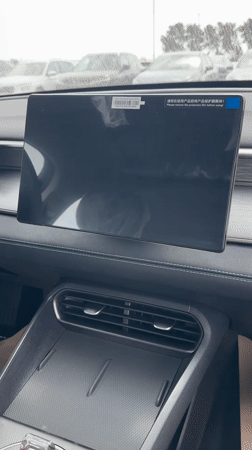 New BYD vehicle interior documented in southern Israel
