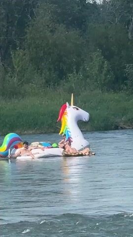 A group of people are relaxing on an inflatable unicorn float on a river. The unicorn is white with a rainbow-colored mane and tail, and a golden horn. The people are lying down and sitting on the float, enjoying the sunny weather. The river is wide and calm, with lush green trees lining the banks. The water is a clear blue, and there are small waves on the surface. The overall atmosphere is peaceful and relaxed.