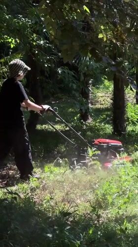 Yard work and child's play captured in Erba residential area