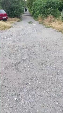 This video captures a view of a rural road in Belovodskoe, Kyrgyzstan. The road itself is unpaved, covered in gravel and dirt, with dry grass and vegetation growing along its sides. Flanking the road are dense green trees and bushes, suggesting a natural or semi-rural setting. In the background, there are residential buildings, appearing somewhat weathered, with satellite dishes mounted on some roofs. A red hatchback car is parked on the side of the road. Several people are visible walking along the road in the distance, and one person is seen walking away from the camera on the right side. The time of day appears to be late afternoon or early evening, given the soft light and the slightly overcast sky. The overall atmosphere is quiet and unassuming, typical of a less urbanized environment. There is no visible text in the video.