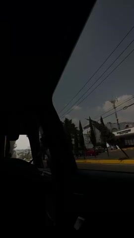 A passenger films out of a car window while driving on a road. The view through the window shows trees, telephone poles, and a few buildings. The camera is obscured by the car's interior. The sky is visible above the scenery.