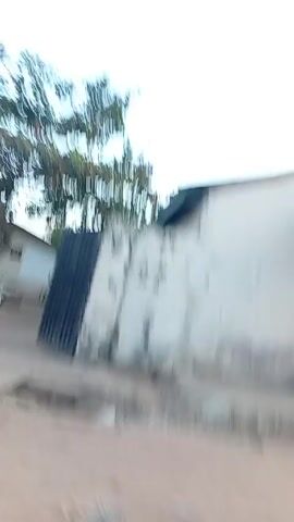 The video shows a low-angle perspective of a dusty, sandy ground with a partially obscured view of walls and gates. The first shot reveals a section of a light-colored wall flanked by two dark gates, with a tree providing partial coverage. The camera then pans, showcasing more sections of walls, some painted white and others constructed from cinder blocks. A red gate is visible next to one of the walls. Palm trees are seen in the background. The footage is shaky, suggesting it was taken by someone in motion.