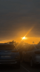 Sunset captured at Marrakesh parking lot amid palm trees