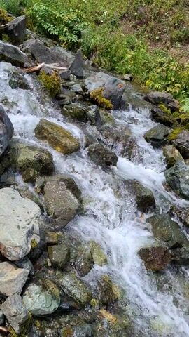 This media file captures a close-up, high-angle view of a shallow, rocky stream in Shargutsu, Kazakhstan. The water is clear and flows rapidly over a bed of various-sized grey and brown stones, some of which are covered in patches of green moss. The stream bed is uneven, with rocks creating small cascades and churning white water. To the left of the stream, there is a bank covered in lush green grass and some smaller plants. The overall scene is natural and appears to be in an outdoor setting, possibly a mountain or hillside area given the rocky terrain and vegetation.

The activity depicted is the flow of water through the stream. There are no people or animals visible in the frame, and no man-made objects, aside from what might be interpreted as a small piece of weathered wood or a fallen branch near the lower left.

The lighting suggests it is daytime, and the bright, natural light illuminates the scene without harsh shadows, indicating it could be a moderately sunny or overcast day. The presence of green vegetation suggests a temperate season, likely spring, summer, or early autumn. The environment feels serene and untouched.

There is no visible text in this media file.