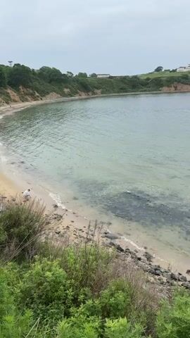 A person wearing a white shirt and shorts is standing near the water's edge on a sandy and rocky beach. They are facing the water and appear to be looking out at the ocean. The water is calm and clear, with some rocks visible beneath the surface. The beach is surrounded by green vegetation and a gently sloping hillside. The sky is overcast, suggesting a cloudy day. In the distance, there is a small island with buildings and a tower on top, as well as a larger body of water stretching to the horizon. The overall scene depicts a tranquil coastal environment.