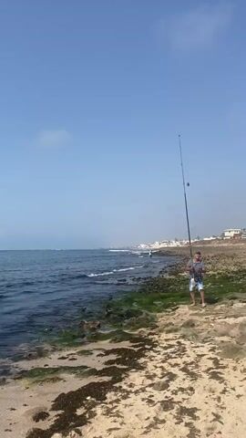 A man stands on a rocky shoreline holding a fishing rod. The ocean is to his left, and the sky is clear blue. There are buildings in the distance. He appears to be casting or reeling in his line.