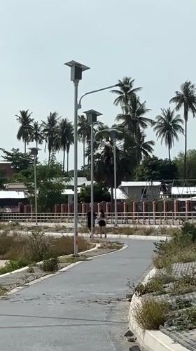 Early morning scenes documented across Baan Chaweng, Thailand