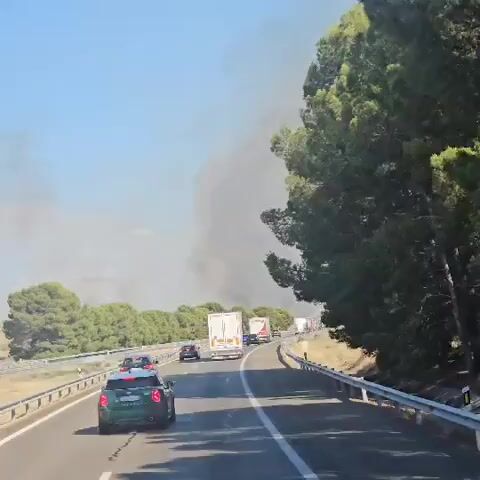 The video shows a view from inside a vehicle traveling on a highway. On the right side of the road, there is a dense line of trees. On the left side of the road, there is a median barrier and then more trees beyond that. Several vehicles are visible on the highway, including cars and numerous trucks, many of which appear to be stopped or moving slowly in a traffic jam. In the distance, a large plume of dark gray smoke is rising into the sky, obscuring the horizon and suggesting a fire. The sky is clear and blue, indicating daytime. The overall scene depicts a highway traffic situation affected by a visible smoke event.