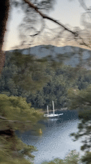 Sunset coastal view captured through pine trees in Fethiye