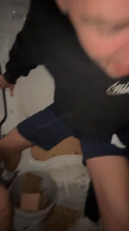 Young men filmed in apparent distress inside van in Bulgaria