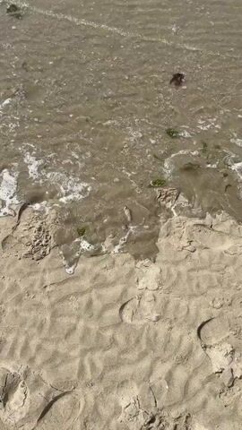 The video shows a sandy beach with the ocean in the background. Footprints are visible in the sand. The water is shallow and murky, with small waves gently lapping at the shore. Some debris, including seaweed, is scattered along the waterline. The sky is blue with scattered clouds. The camera angle is looking down at the sand and water. The video appears to be a short, continuous shot with no apparent action or interaction occurring.