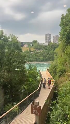 A group of people and a dog are walking on a wooden boardwalk that curves along a lush green hillside. In the distance, a wide river with turbulent, turquoise water flows rapidly. Trees line the riverbanks and cover the hillsides. Two modern, tall buildings are visible on a hill overlooking the river. The sky is overcast.