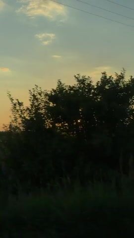 The video shows a landscape at sunset. The sun is low on the horizon, casting a warm glow across the sky. There are some clouds in the sky, and a few trees in the distance. The foreground is filled with vegetation, and it appears to be a rural area. In some parts of the video, there are power lines visible.