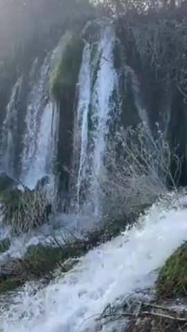 The video depicts a multi-tiered waterfall cascading over mossy rocks and vegetation. The water is white and foamy as it flows. There are bare branches and frosted vegetation surrounding the waterfall.