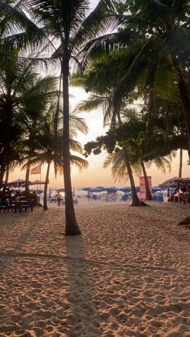The video shows a beach at sunset, framed by palm trees. The sky has orange and pink hues, and the setting sun is visible. The sand is light brown and textured with footprints. In the distance, blue beach umbrellas and lounge chairs are set up. There are a few people on the beach, including a woman walking. A few tables and chairs are situated under the trees on the side of the frame. There are also beach umbrellas and signs in the background.