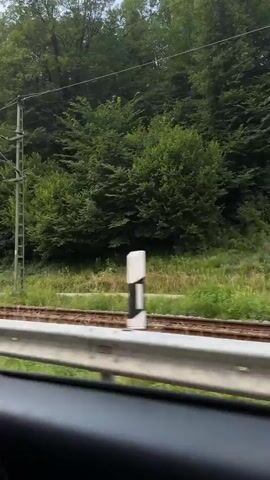 The video shows a first-person view from inside a vehicle traveling alongside a train track. Lush green trees and vegetation line the track, with a visible power line support pole. A hand, wearing a plaid shirt sleeve, extends out of the vehicle and is captured in motion across the frame. Various traffic and railway signs are briefly visible, including a speed limit sign indicating 50 and a sign with two red bars. The vehicle appears to be moving at a moderate speed.