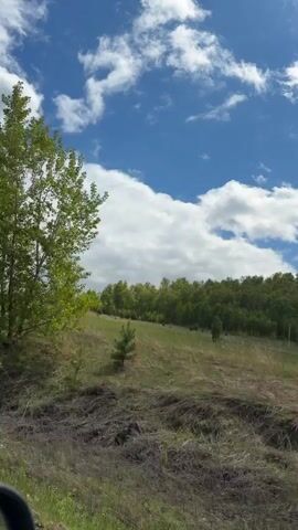 The video depicts a rural landscape, likely captured from a moving vehicle. The sky is a bright blue, dotted with fluffy white clouds. The terrain consists of a grassy hill, interspersed with small evergreen trees and patches of dry grass. A line of deciduous trees, their leaves a vibrant green, is visible along the crest of the hill. Power lines stretch across the horizon. The overall impression is of a sunny day in a pastoral setting.