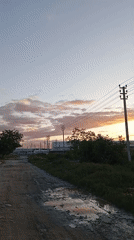 Sunset scenes and cat playtime captured in Baksan, Russia
