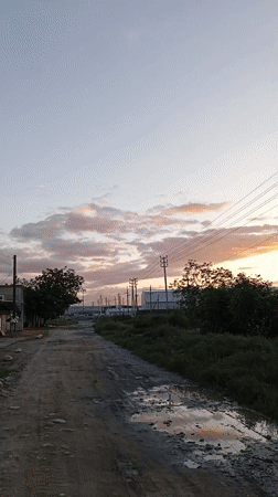 Sunset scenes and cat playtime captured in Baksan, Russia