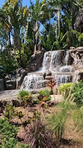 The video shows a man-made waterfall with multiple tiers, surrounded by lush tropical vegetation. The water cascades over rocks into a pool at the bottom. Tall palm-like trees are visible behind the waterfall, with dense green foliage. The sun appears to be shining, casting shadows and highlighting the water and plants. The overall impression is one of a serene and beautiful natural setting.