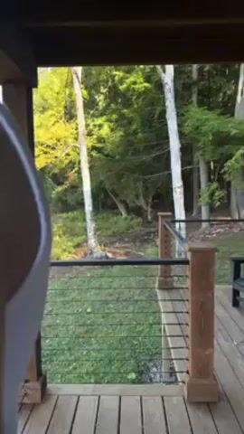 A man with curly hair and a beard, wearing a white tank top, walks onto a wooden porch and takes a sip from a brown mug. He is facing a marshy lake surrounded by trees under a clear blue sky. The marsh is full of dead trees and low-lying vegetation. The porch has a wooden railing.