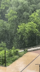 Heavy afternoon rainfall in tree-lined Moscow area
