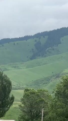 The video shows a landscape of rolling green hills and mountains covered in trees. The sky is overcast with clouds. In the foreground, there are several large green trees. There are no people or animals visible in the video. The scene appears to be a natural landscape, possibly a park or a rural area. The overall atmosphere is peaceful and serene.