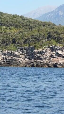 A static, eye-level, medium shot captures a rugged, rocky coastline adjacent to a body of calm, blue water. The rocky shore is comprised of uneven, gray-brown boulders and smaller stones, showing signs of weathering and erosion. Above the rocky formation, a dense canopy of green trees and shrubs covers a hillside that slopes upwards towards distant, hazy mountains. The sky is a clear, pale blue. The video shows no people or discernible actions, focusing solely on the natural landscape.
